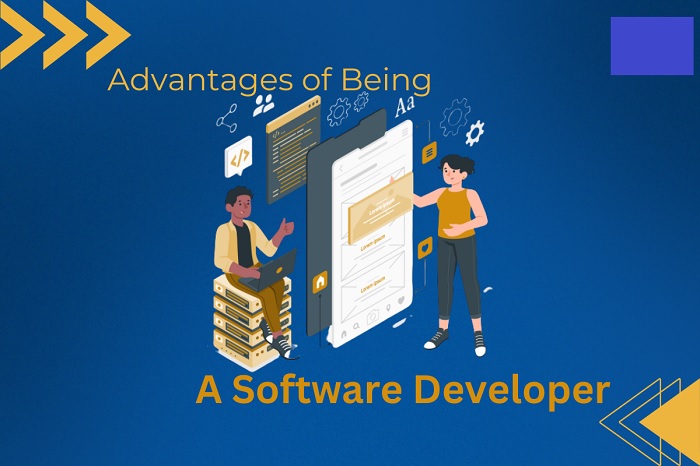 What is the Advantages of Being a Software Developer