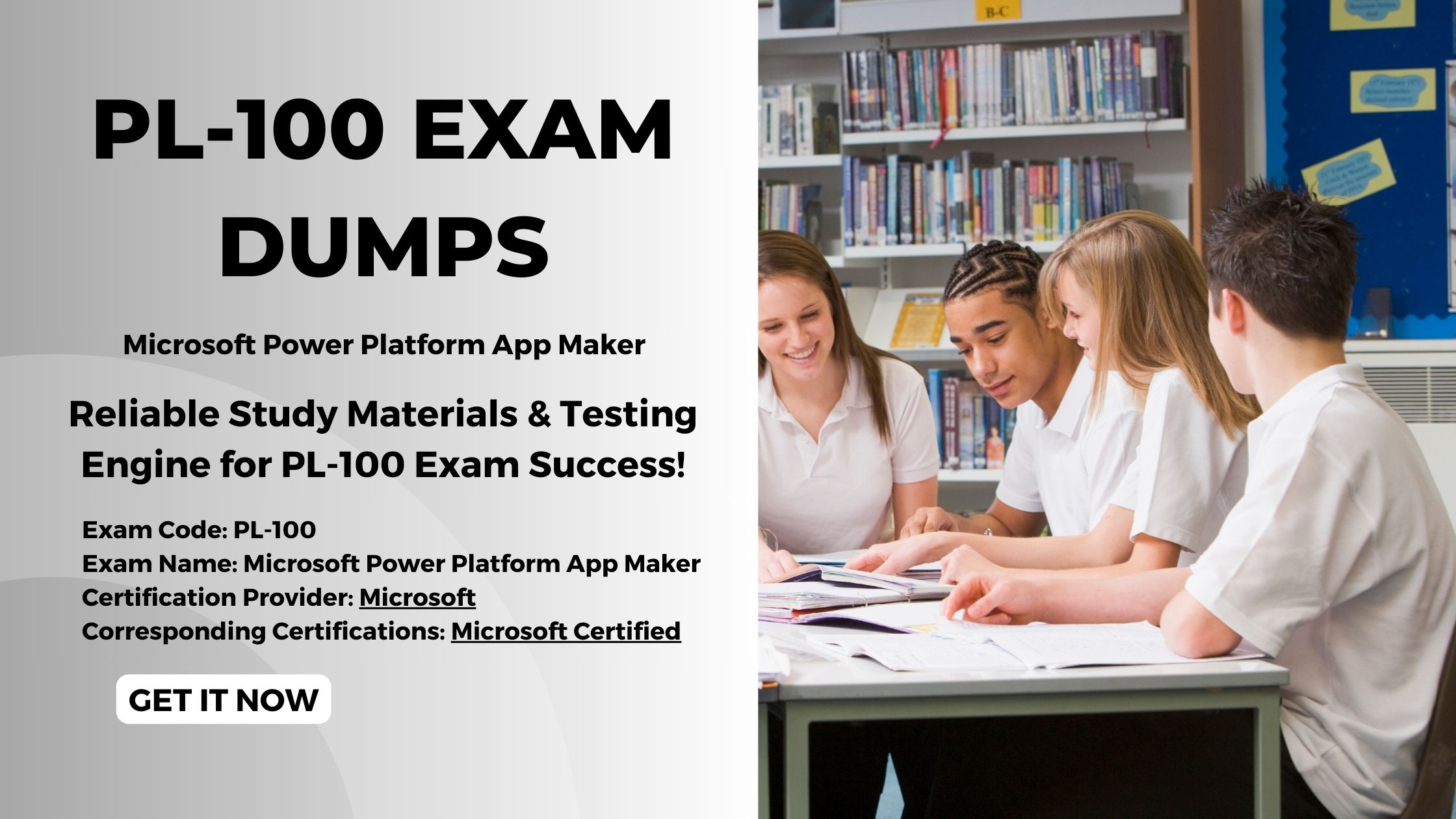 PL-100 Exam Dumps